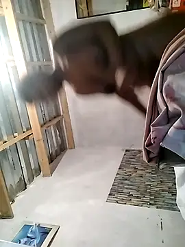 shekana online show from 10/10/25, 08:48