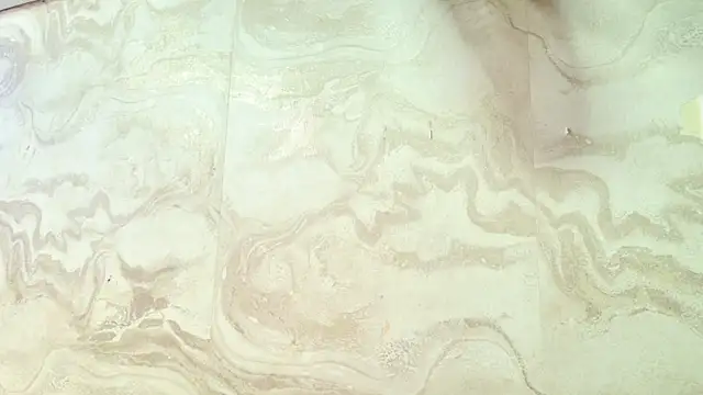 amy greene online show from 03/31/26, 11:34