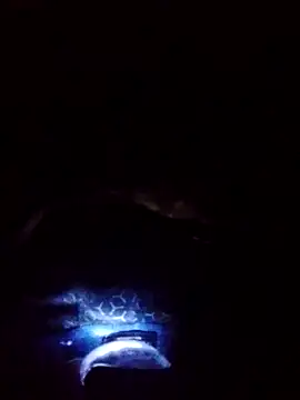 gostoso delas 2 online show from 09/17/25, 04:20