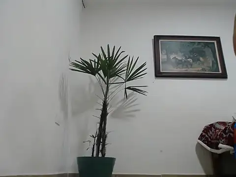 Young handsome online show from 09/11/25, 01:27