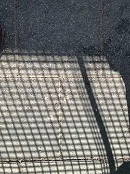 GeilerHSVFAN1989 online show from 04/12/26, 09:01