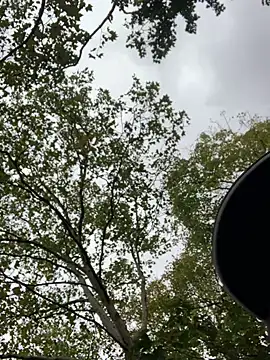 GeilerHSVFAN1989 online show from 10/16/25, 01:41