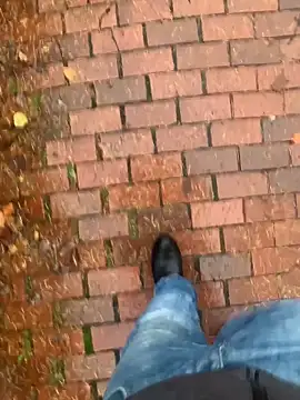 GeilerHSVFAN1989 online show from 11/14/25, 02:21