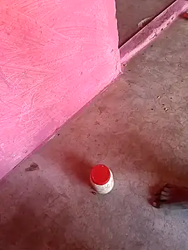 Pinki yadavni online show from 11/08/25, 08:51