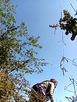 Hot-honi online show from 12/18/25, 07:35