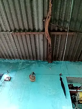 Hot-honi online show from 09/21/25, 11:48