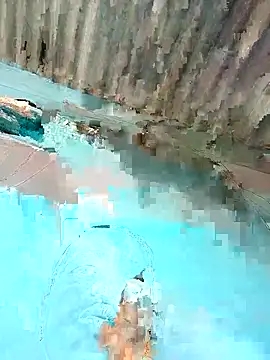 Hot-honi online show from 12/22/25, 08:47