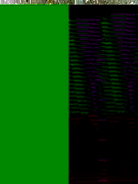 Hot-honi online show from 11/17/25, 10:19