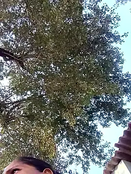 Hot-honi online show from 01/10/26, 11:16