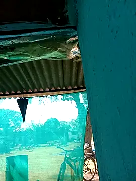 Hot-honi online show from 11/05/25, 04:59