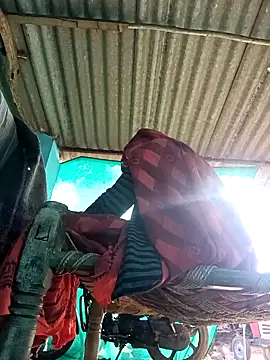 Hot-honi online show from 11/08/25, 09:46