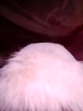 VanGau031694 online show from 11/13/25, 11:52