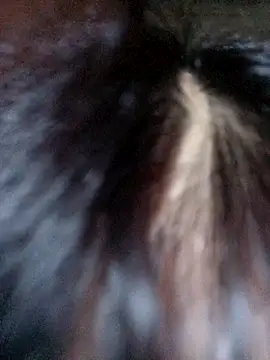 VanGau031694 online show from 10/08/25, 08:16