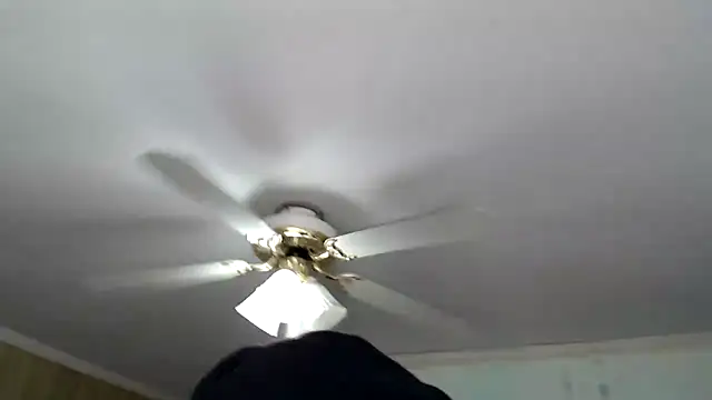 bullmusclejoe online show from 05/04/26, 10:01