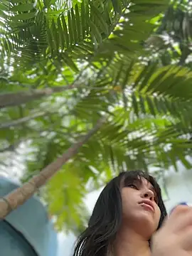 VendiMur online show from 03/21/26, 02:13