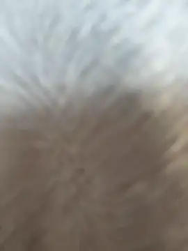 VendiMur online show from 03/27/26, 01:03