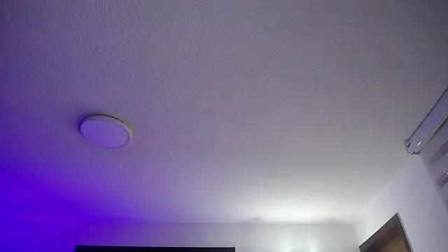  Charlotte Collins  online show from 05/19/26, 03:30