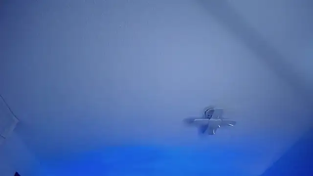  Charlotte Collins  online show from 03/13/26, 02:22