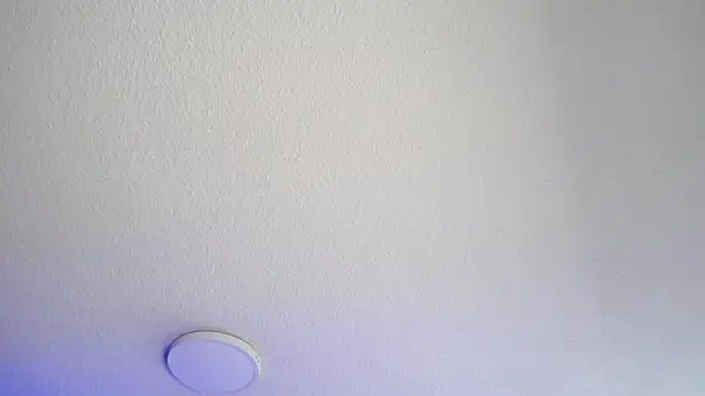  Charlotte Collins  online show from 05/26/26, 03:32