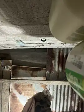 SaraBust online show from 04/07/26, 04:25