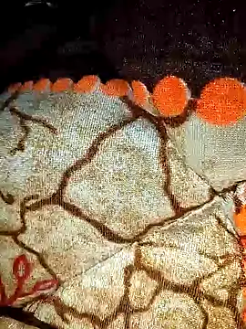 sexy  girls98 online show from 02/12/26, 05:40