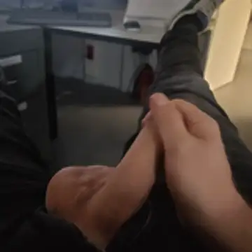 stunning stallion online show from 10/23/25, 09:35