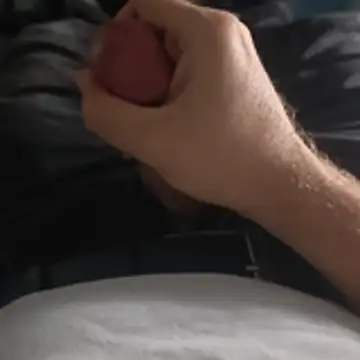 stunning stallion online show from 10/24/25, 09:25