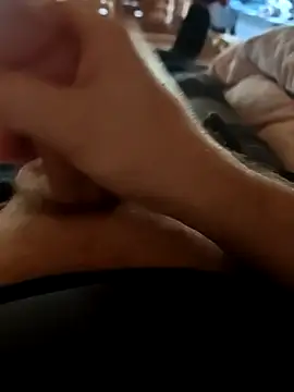 stunning stallion online show from 03/05/26, 10:45