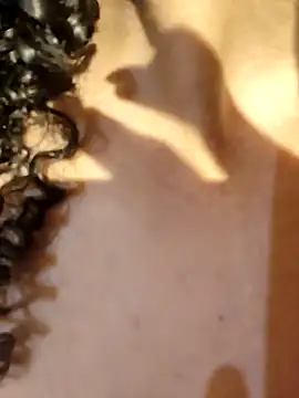 kate lua online show from 04/02/26, 04:30