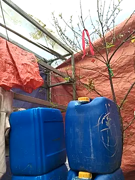 liu-liusexy online show from 02/19/26, 08:22