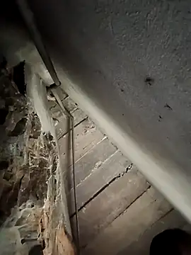 AnHa19 online show from 11/06/25, 07:45