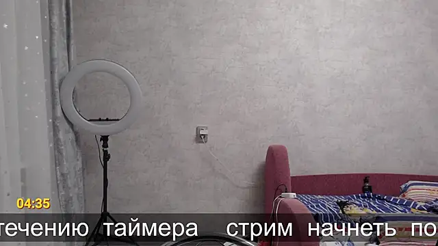 glasses cat online show from 11/12/25, 08:45