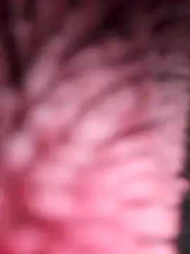 simi-lucy online show from 11/28/25, 01:11