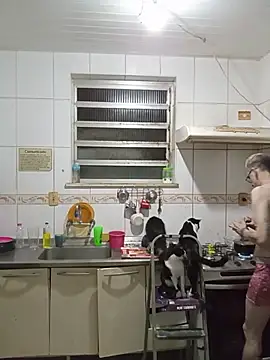 dinho carioca online show from 04/02/26, 04:52