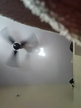 Snapshot of Silk_Smitha_27 chatting on 11/02/25, 05:34 Silk Smitha 27 online show from 11/02/25, 05:34