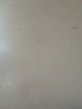 diamondunleashes online show from 04/20/26, 08:43