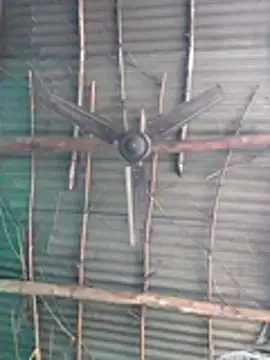 Pooja750 online show from 12/21/25, 04:47