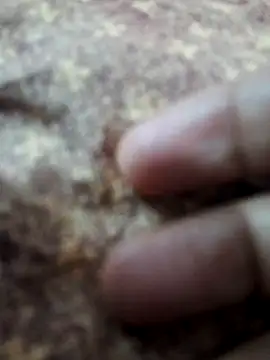 BeautyGirl sara online show from 02/14/26, 09:42