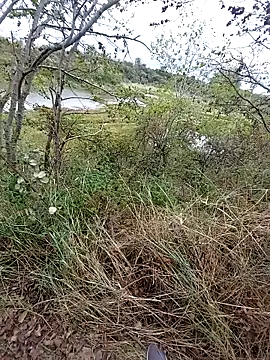 slaveman4you online show from 09/18/25, 12:41