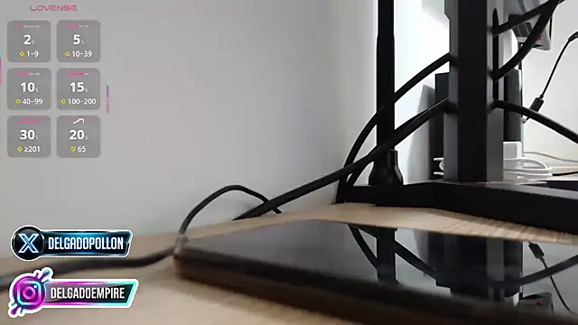 delgadopollon1991 online show from 04/27/26, 08:51