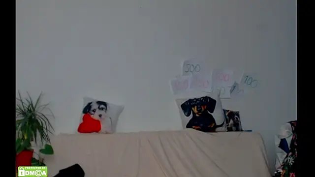 Snapshot of ZeinMiracles chatting on 02/17/26, 08:39 ZeinMiracles online show from 02/17/26, 08:39