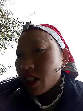 tcm-cute online show from 11/12/25, 07:34