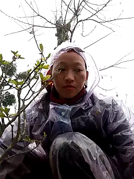 tcm-cute online show from 11/03/25, 08:07