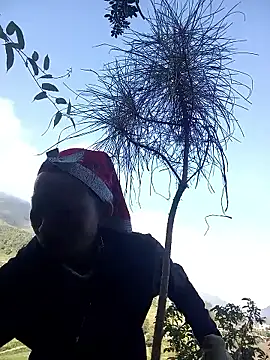 tcm-cute online show from 10/28/25, 01:39