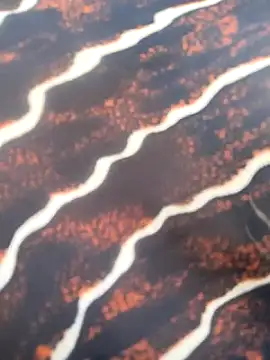 Idhika Handoo online show from 02/13/26, 11:54