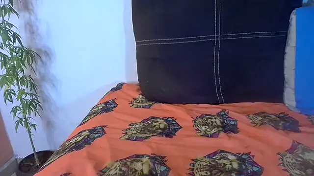 Analvamp online show from 10/21/25, 04:23