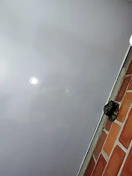 Perropa online show from 02/27/26, 01:17