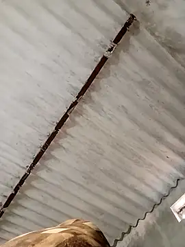 Payal950 online show from 11/07/25, 11:15