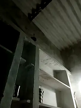 Payal950 online show from 11/08/25, 12:42