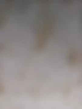 Snapshot of Payal950 chatting on 10/05/25, 12:56 Payal950 online show from 10/05/25, 12:56